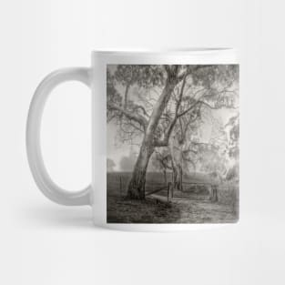 Misty Morning, Adelaide Hills, South Australia Mug